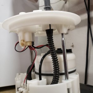 2YRcoT7l5JPA width1024height1024cropmodenone