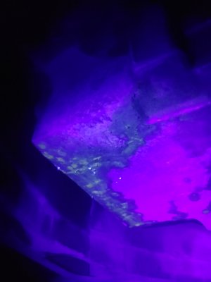 20211007 190452 20211007 190452