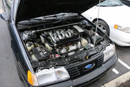 IMG 1137 1024x683 IMG 1137 1024x683