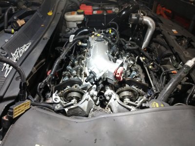 IMG_20220524_092025736.jpg