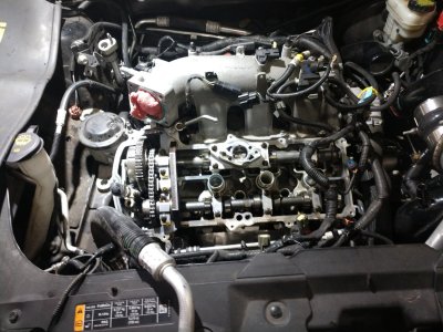 IMG_20220524_091946114.jpg