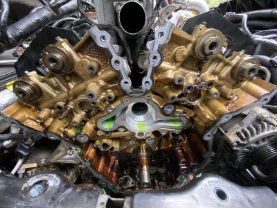 925F5008 6342 4489 8EDA FCC822B51884