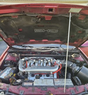 AEB3519D 9D83 486B A669 7106BEF4D404