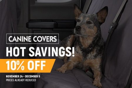Canine covers promo 5 Canine covers promo 5