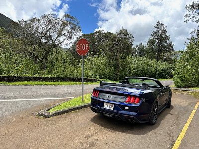 MustGT1 MustGT1