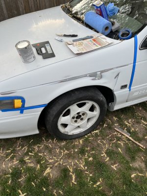 229DCA78-F696-4DE2-B9A9-35C060C1012B.jpeg