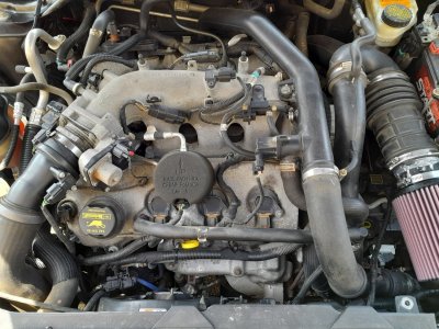 under the hood.jpg