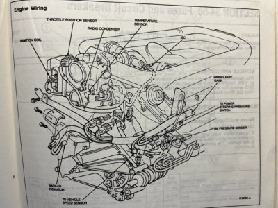 SHO Wiring.JPG