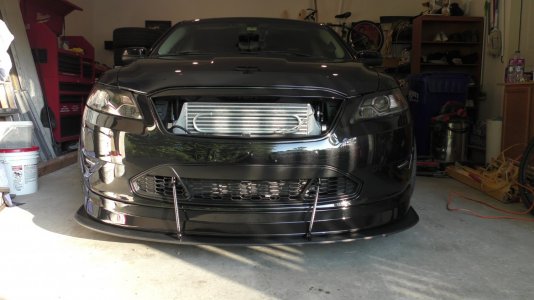 S1170007 S1170007