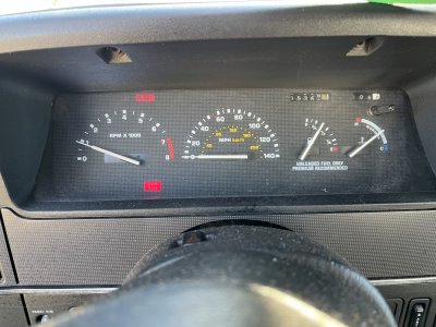 IMG_3491.jpeg