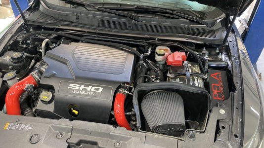 engine bay.jpg
