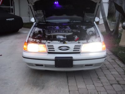 led healight.JPG