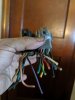 MVIMG_20190825_141029.jpg