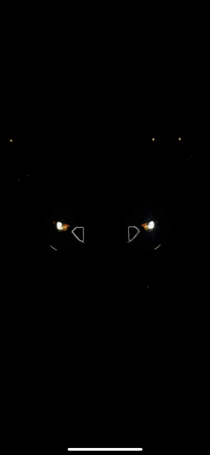 IMG_4952.png