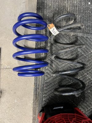 IMG_7037.jpeg