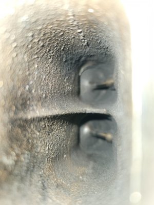 20240507_112134.jpg