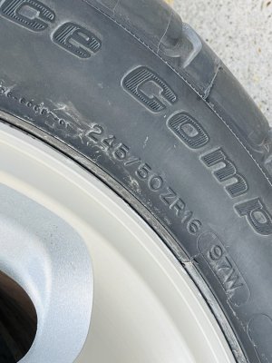 IMG_4626.jpeg