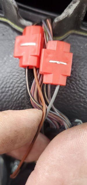 20250111 085606 20250111 085606