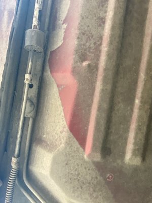 IMG_0363.jpeg