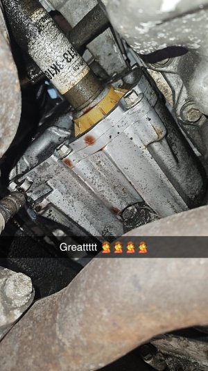 Snapchat-949575355.jpg
