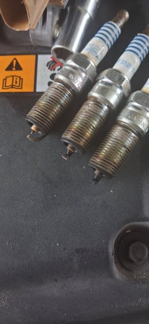 20251229 133445 20251229 133445