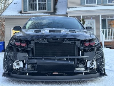 IMG 7685