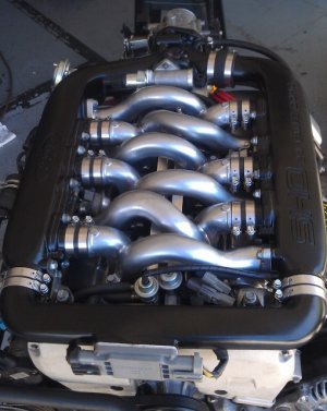 IMAG0972 (2) (510x640).jpg
