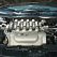 V8shoheser