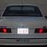 shomtx95