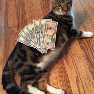 Jaycat