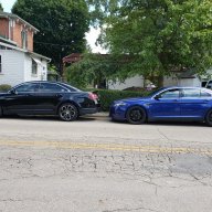 Black&BlueSho