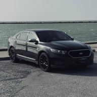 TuxedoBlackTaurus