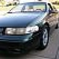 95Rudy