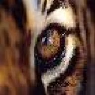 JR Tigerstar
