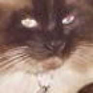 Fourcats