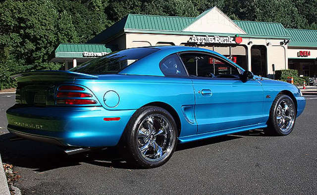 backside08.jpg